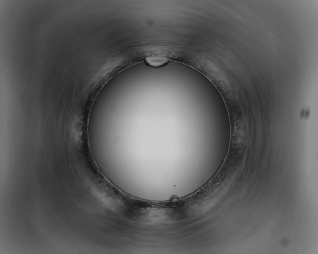 X0000101460255200807071438
