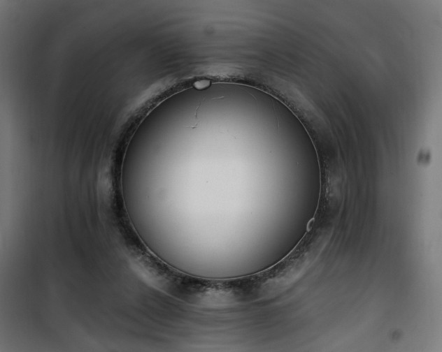X0000101460256200807071438