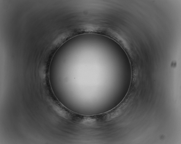 X0000101460257200807071438