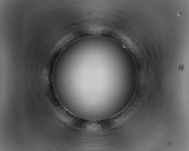 X0000101460258200807071438
