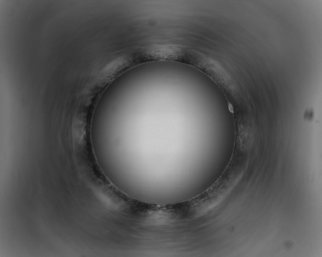 X0000101460259200807071438