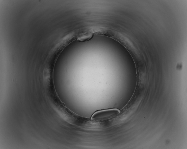 X0000101460260200807071438