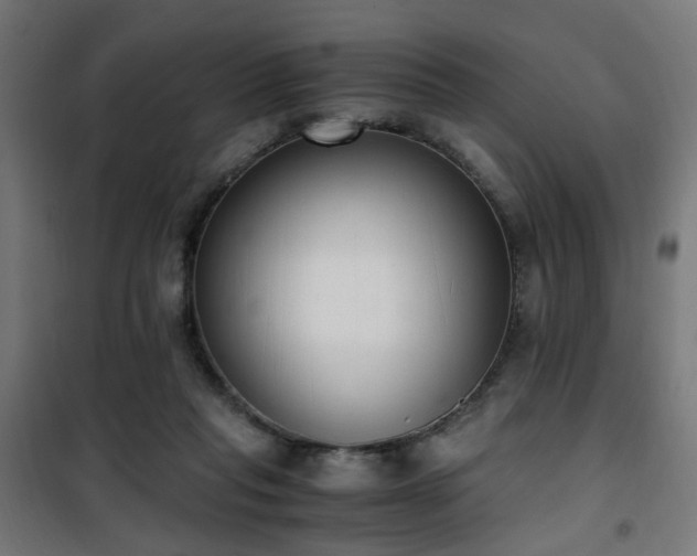 X0000101460261200807071438
