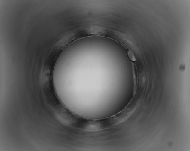 X0000101460263200807071438