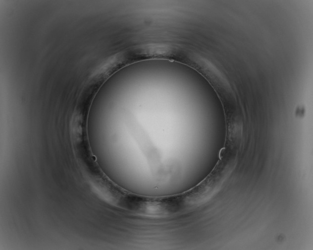 X0000101460264200807071438
