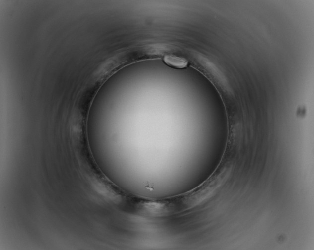 X0000101460265200807071438