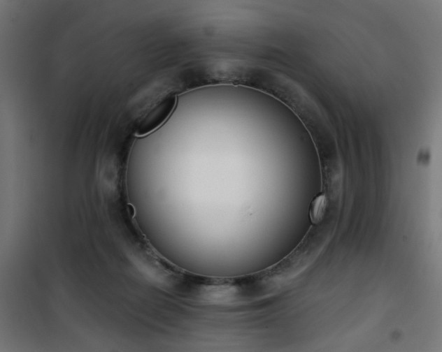 X0000101460266200807071438
