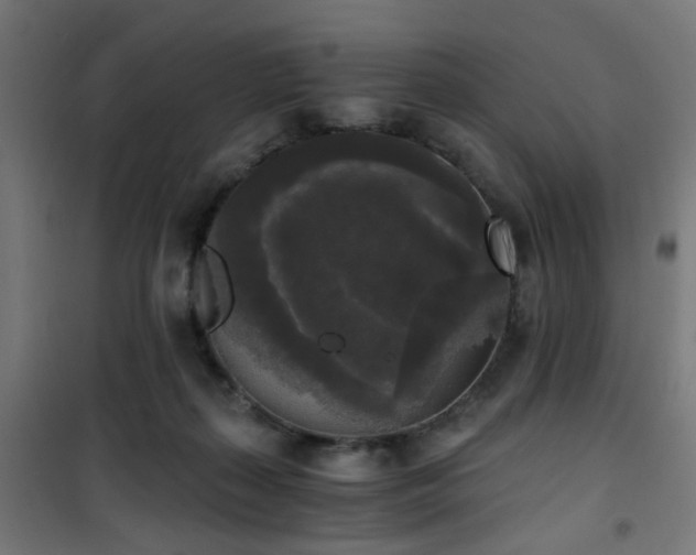 X0000101460267200807071438