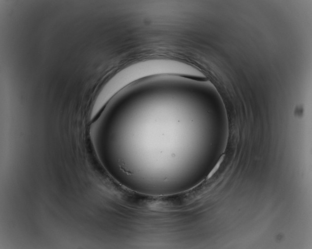 X0000101460268200807071438