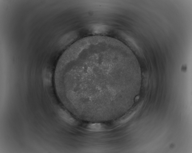 X0000101460269200807071438