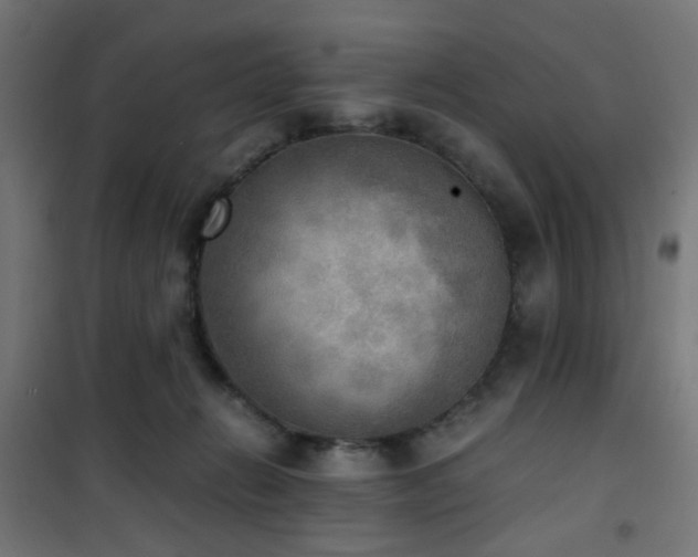 X0000101460270200807071438