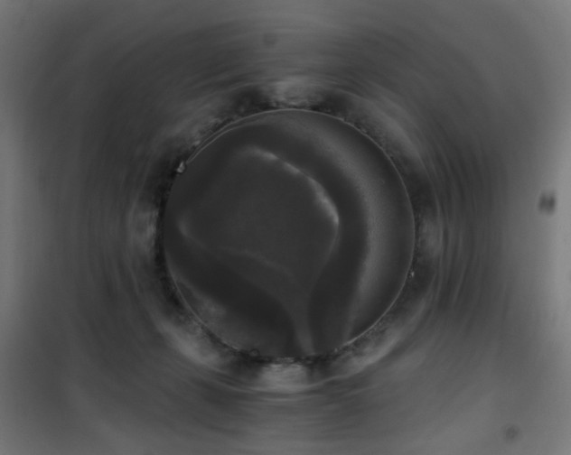 X0000101460271200807071438