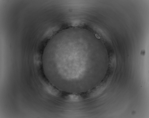 X0000101460272200807071438