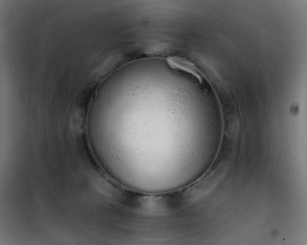 X0000101460273200807071438