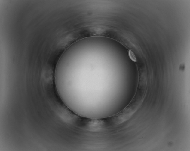 X0000101460274200807071438