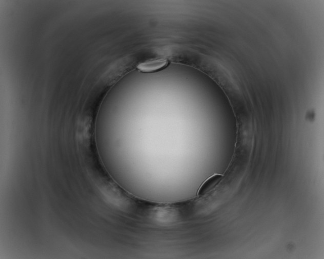 X0000101460275200807071438