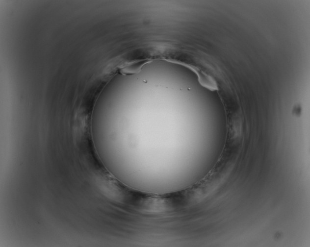 X0000101460276200807071438