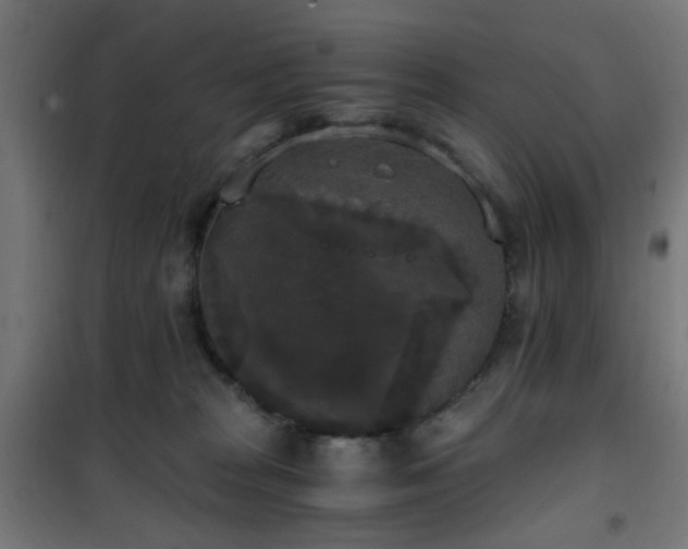X0000101460277200807071438