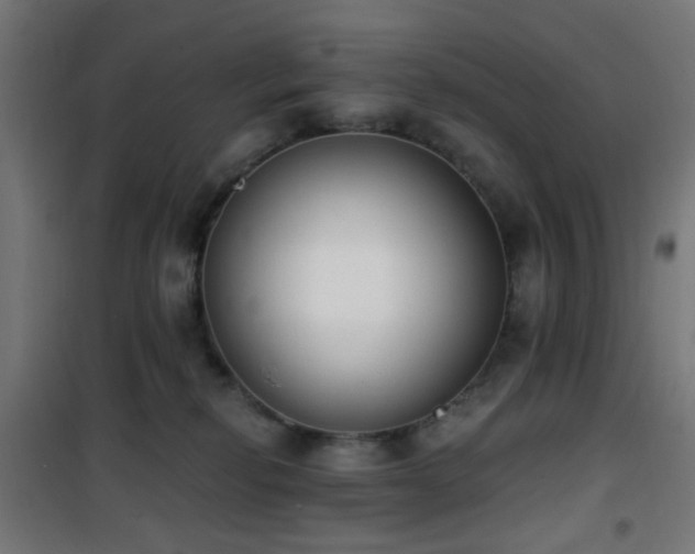 X0000101460278200807071438
