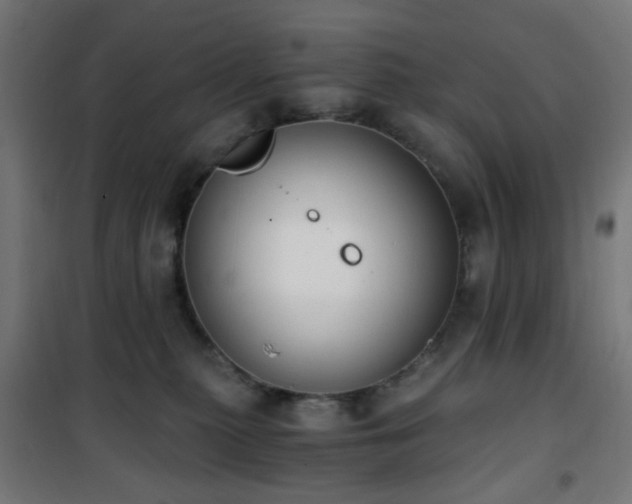 X0000101460279200807071438
