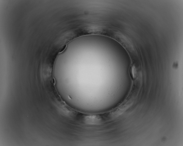 X0000101460281200807071438