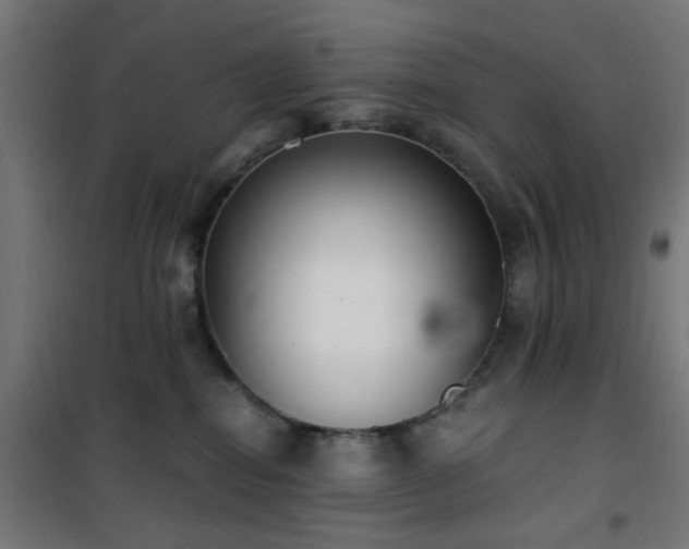 X0000101460282200807071438