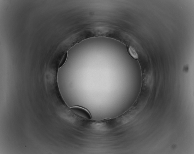 X0000101460283200807071438