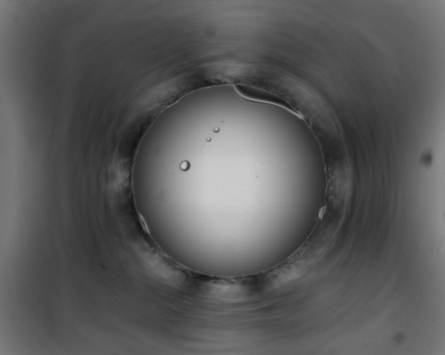 X0000101460284200807071438