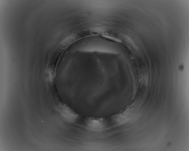 X0000101460285200807071438