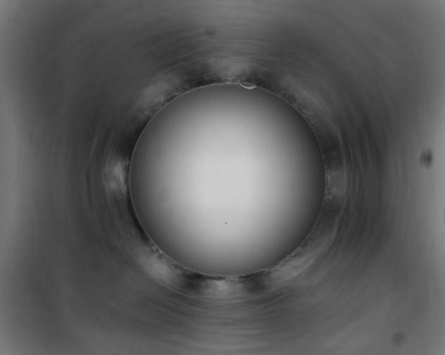 X0000101460286200807071438
