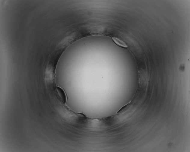 X0000101460287200807071438
