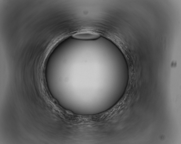 X0000101460289200807071437