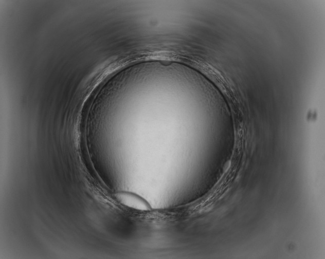 X0000101460290200807071437