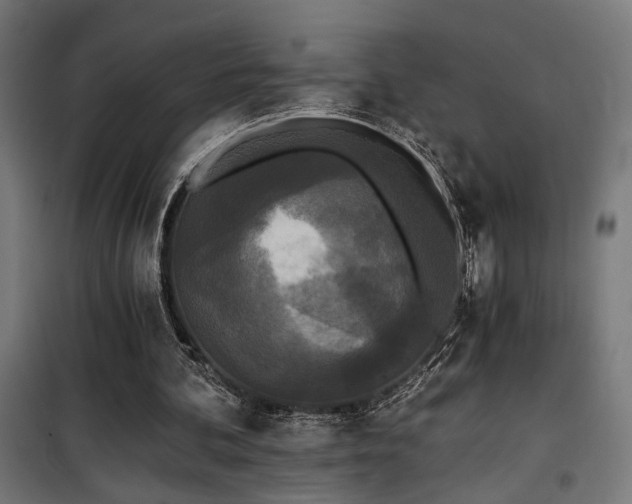 X0000101460292200807071437
