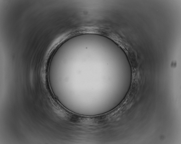 X0000101460293200807071437