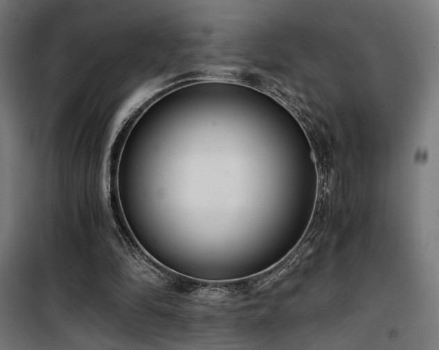 X0000101460294200807071437