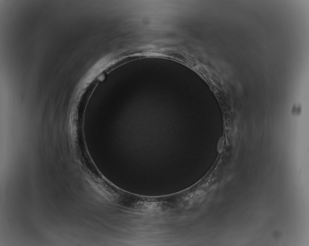 X0000101460295200807071437