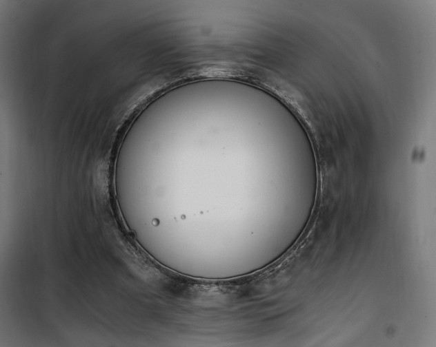 X0000101460297200807071437
