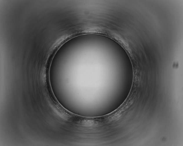 X0000101460298200807071437