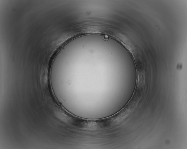 X0000101460301200807071437