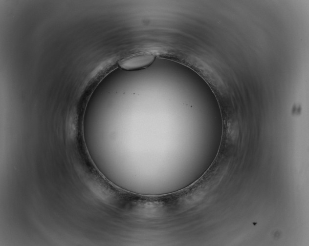 X0000101460304200807071437