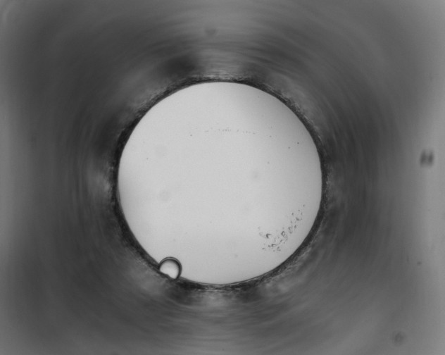 X0000101460305200807071437