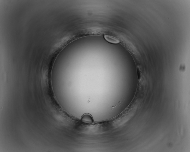 X0000101460306200807071437