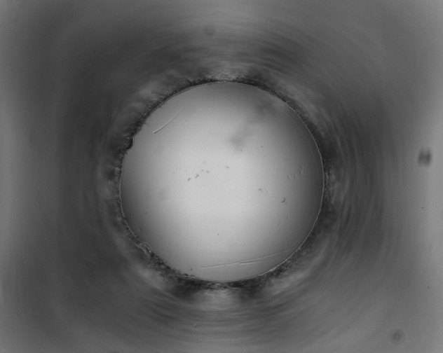 X0000101460307200807071437