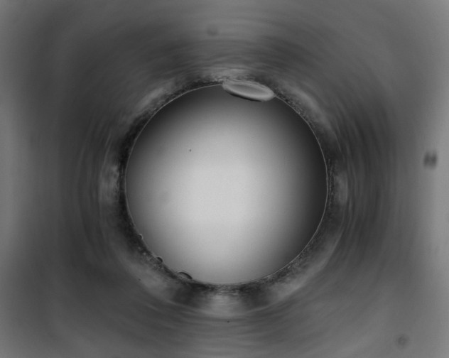 X0000101460308200807071437