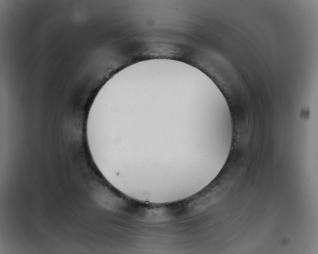 X0000101460309200807071437