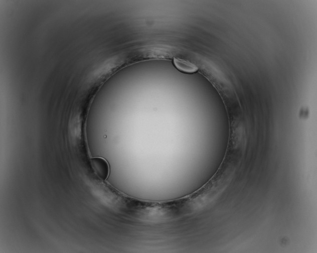 X0000101460310200807071437