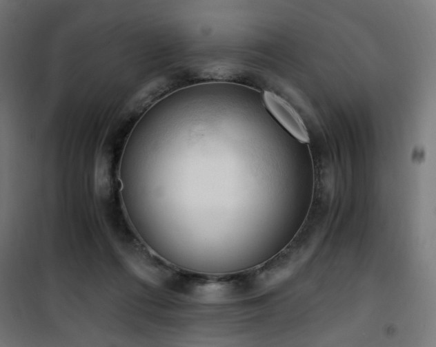 X0000101460312200807071437