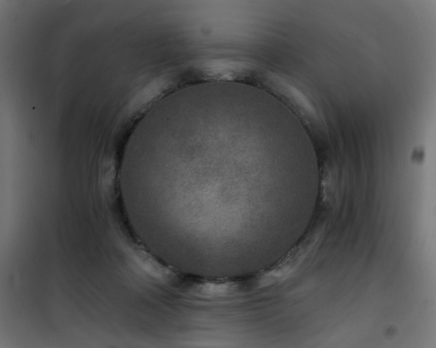 X0000101460314200807071437