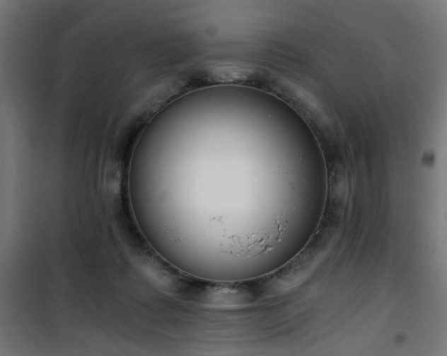 X0000101460315200807071437